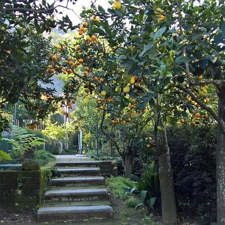 Flavia * Sant'Agnello