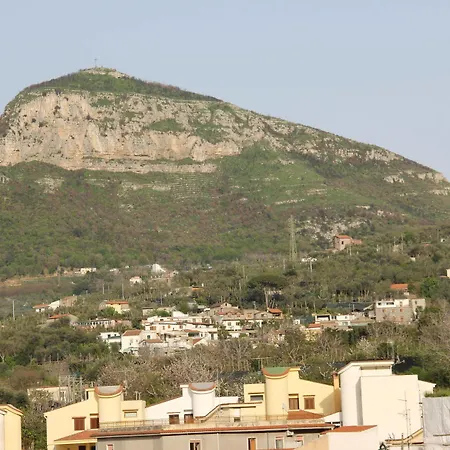 Flavia Sant'Agnello